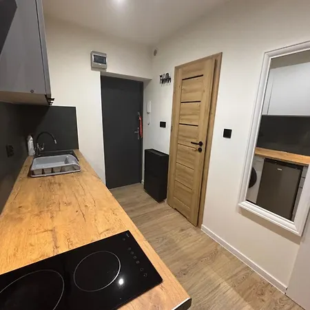 Apartment Przy Parku Reymonta! Lodz